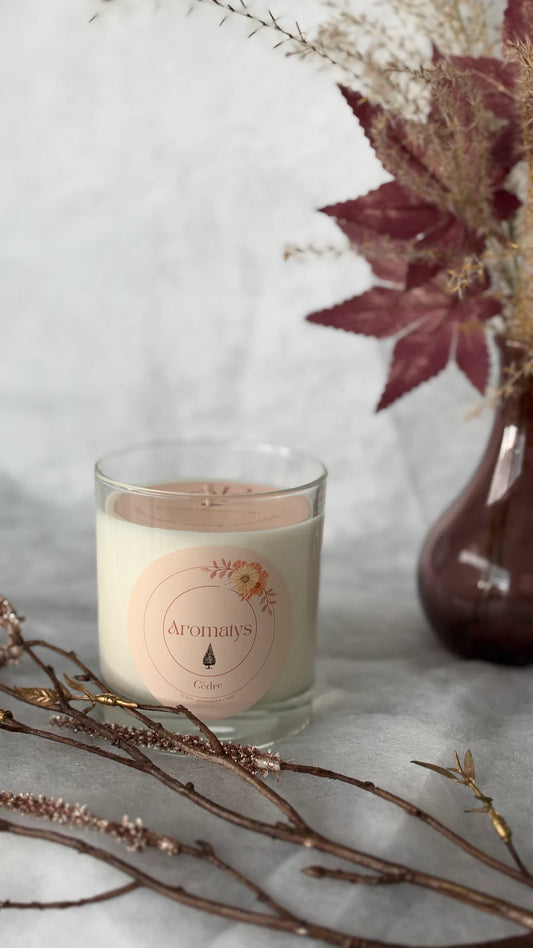 Bougie parfumée Cèdre Aromatys en pot de verre, avec branches et fleurs séchées.